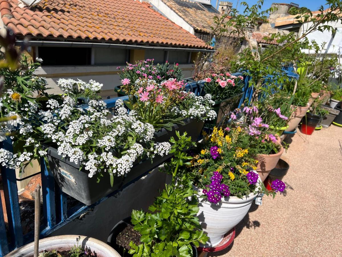 Loft Apartment , La Terrasse Centre Ville D'Arles, Bagian luar foto